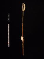 箭(簡號：165.016)