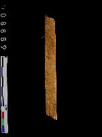 漢簡(簡號：292.026)