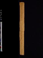 漢簡(簡號：319.007)