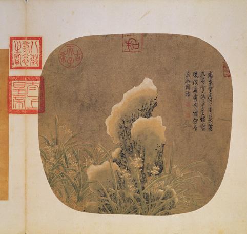 唐刁光胤寫生花卉　冊　水仙倚石上有積雪