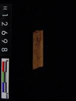 漢簡(簡號：559.119)
