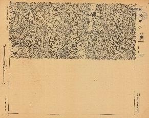 遼寧.吉林省陸測圖《張家甸子》