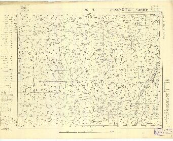 山東省地形圖（二）《王寨》