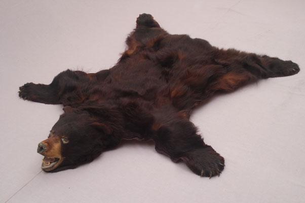 中文名稱：美洲黑熊皮英文名稱：American Black Bear拉丁學名： em Ursus americanus /em 