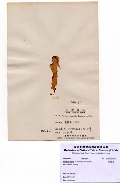 中文名：狹葉紫菜 (A000417)學名： em Porphyra angusta Okamura et Ueda in Ueda /em 