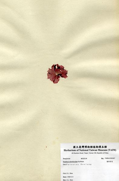 中文名：圓葉紫菜 (A002007)學名： em Porphyra suborbiculata Kjellman /em 