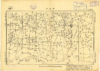 河南省陸測圖《新野縣》