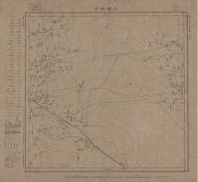 東北地區大樹林子《單色》