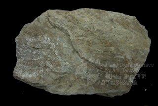 中文名稱：白雲母燧石、方解石片岩英文名稱：muscovite chert、calcite schist