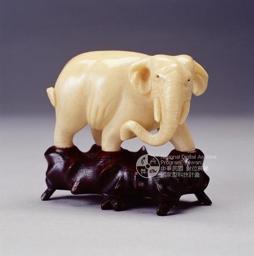 中文品名：象牙象