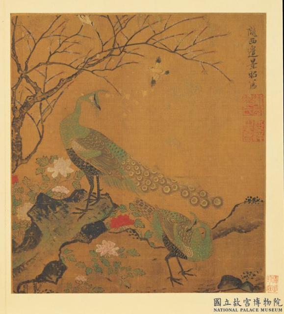 宋元集繪　冊　明邊文進孔雀
