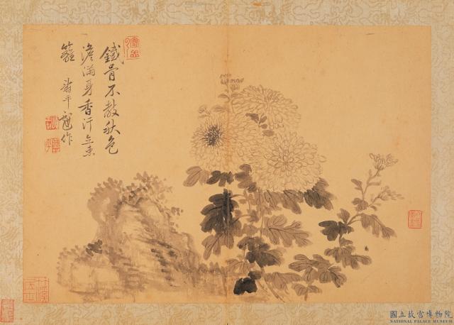 清惲壽平寫生墨妙　冊　菊花