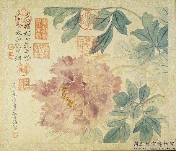 清惲壽平甌香館寫意　冊　牡丹