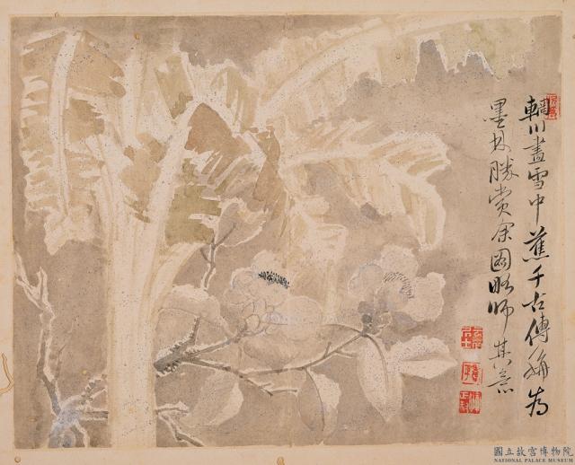清惲壽平寫生花卉　冊　雪中蕉