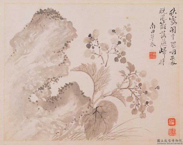 清惲壽平寫生花卉　冊　秋露闌干
