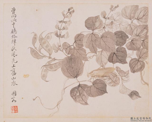 清惲壽平寫生花卉　冊　促織夾荳