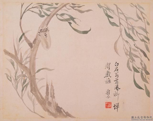 清惲壽平寫生花卉　冊　風柳蟬聲