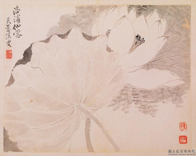 清惲壽平寫生花卉　冊　洛浦仙裳