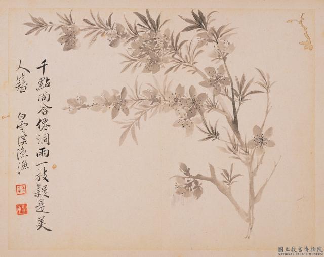 清惲壽平寫生花卉　冊　山桃