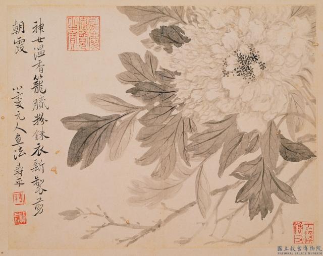 清惲壽平寫生花卉　冊　牡丹