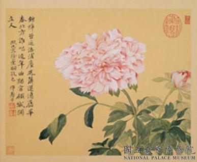 清惲壽平摹古　冊　牡丹