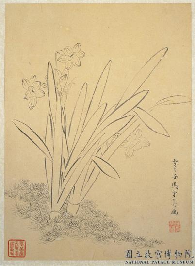 明馬守真畫冊　冊　白描水仙