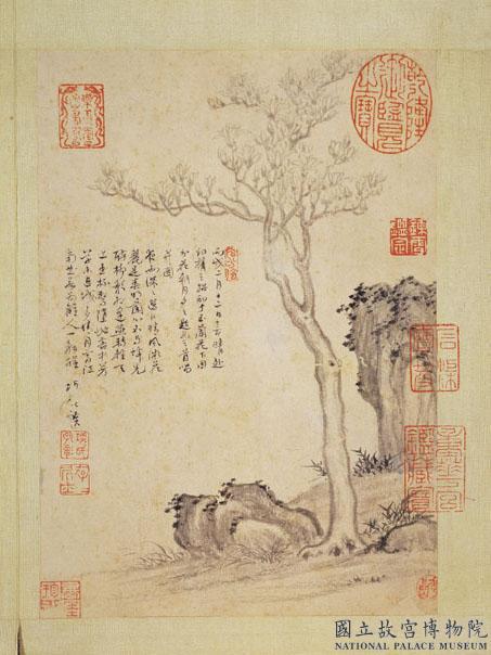 明項聖謨寫生　冊　玉蘭