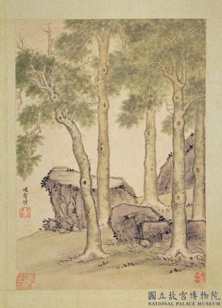 明項聖謨寫生　冊　青桐