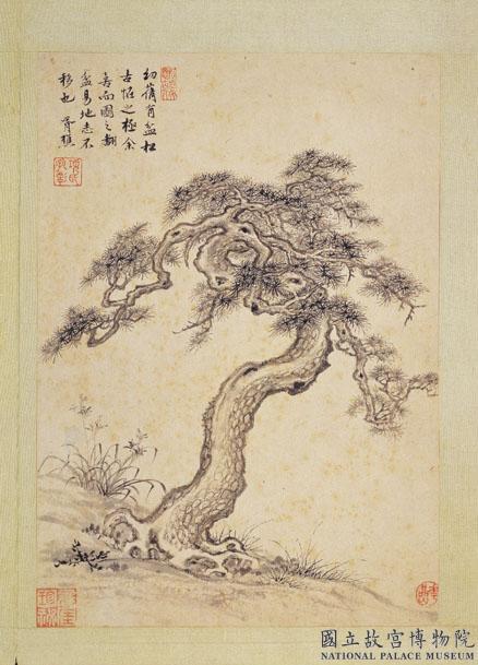 明項聖謨寫生　冊　古松