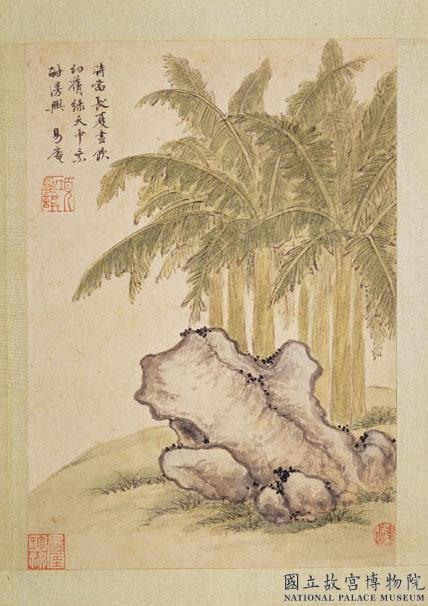 明項聖謨寫生　冊　蕉