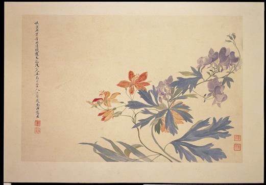 清惲壽平王翬花卉山水合冊　冊　射干