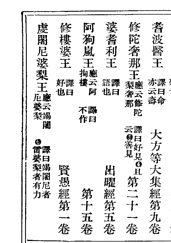 阿狗嵐王