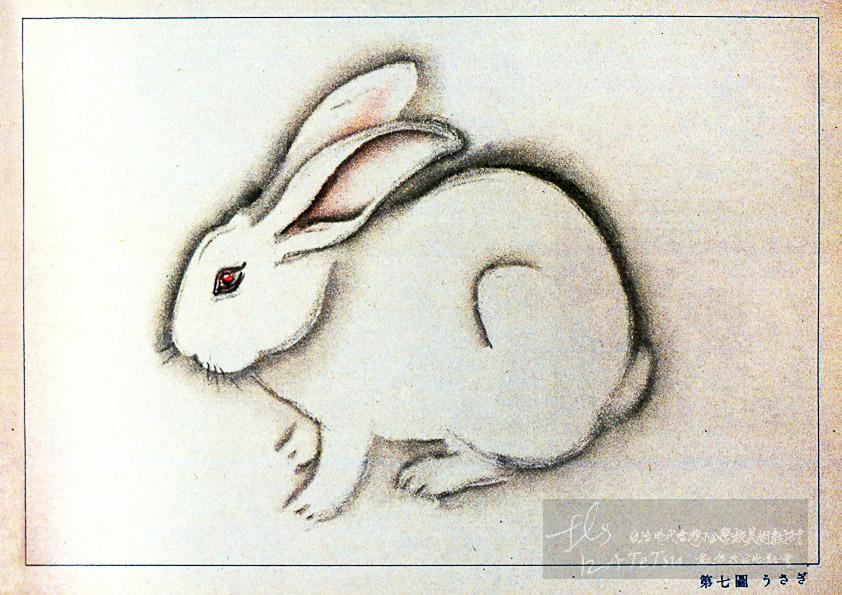 うさぎ﹙兔子﹚