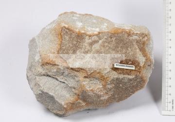 標題:變質石英砂岩