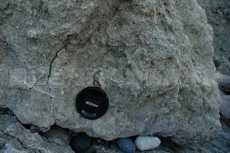 標本名稱:石梯灣凝灰岩和石灰岩