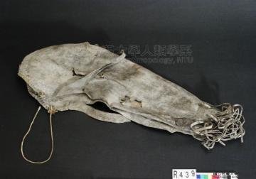 標本名稱:皮帽
