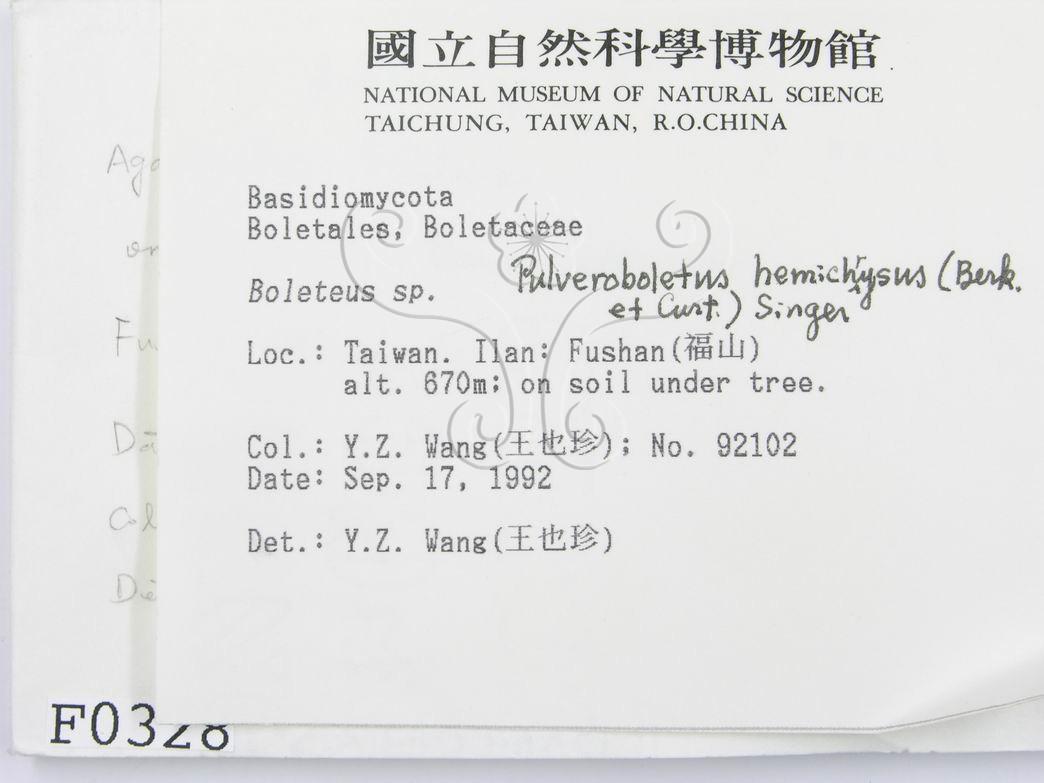 學名:Pulveroboletus hemichrysus