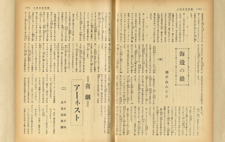 海邊の巖(中)