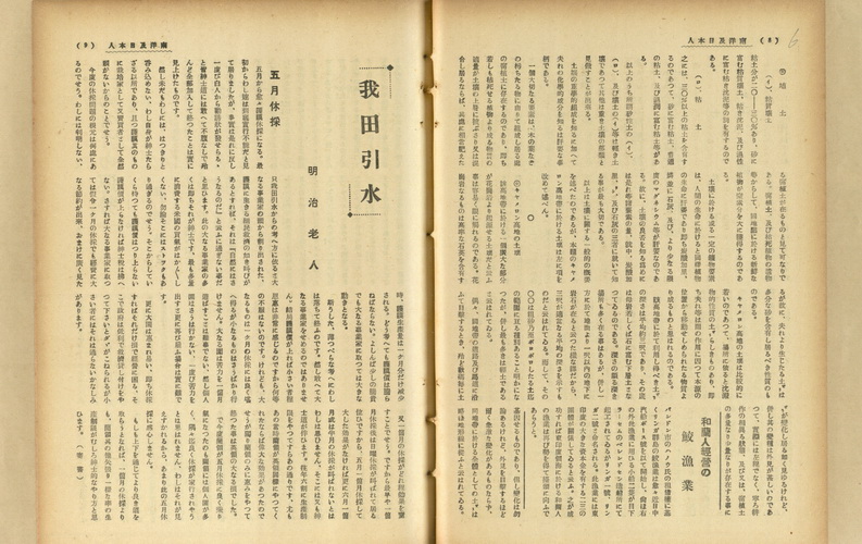 和蘭人經營の鮫漁業