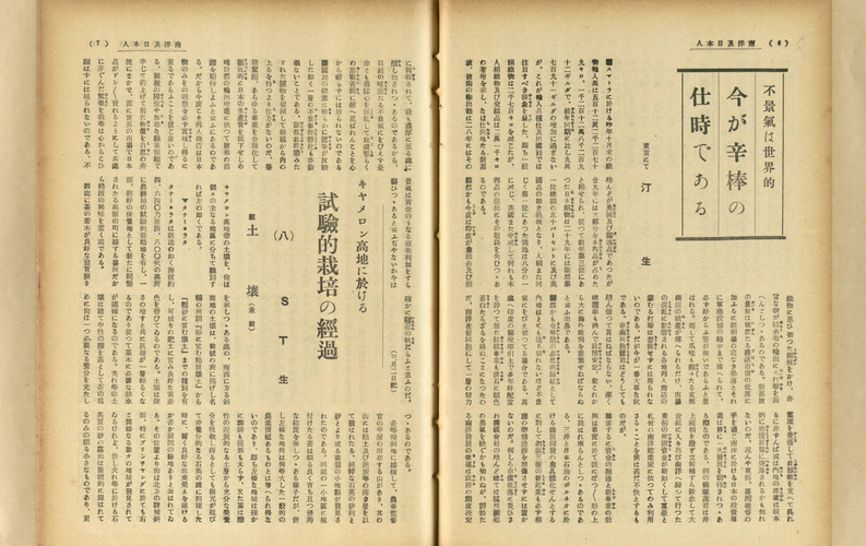 キヤメロン高地に於ける試驗的栽培の經過(八)