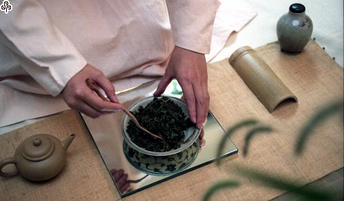 事件標題:年輕人學習茶道（B-014-5463）