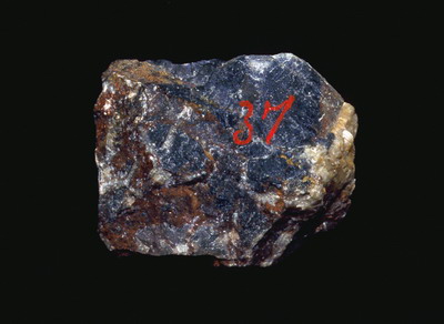 中文名稱:角礫石灰岩（RS04-033）英文名稱:Breccia Limestone（RS04-033）