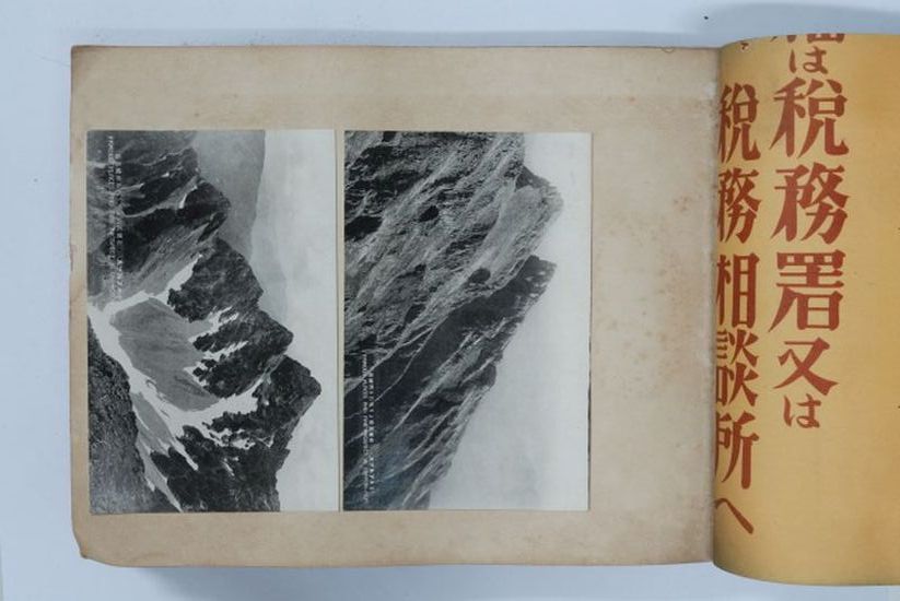 山景照