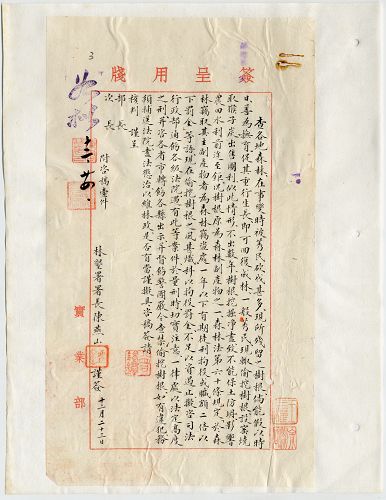 件名:嚴禁挖掘樹根