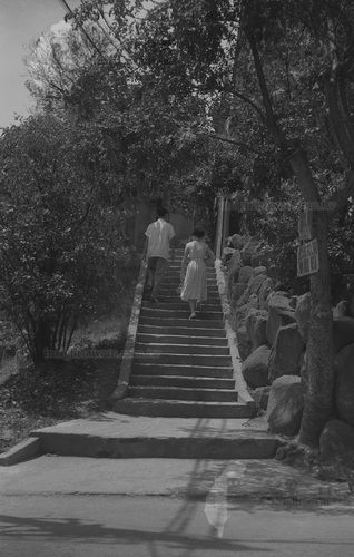 陽明山(草山)公園之1