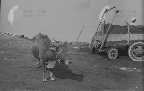 沙子一牛車