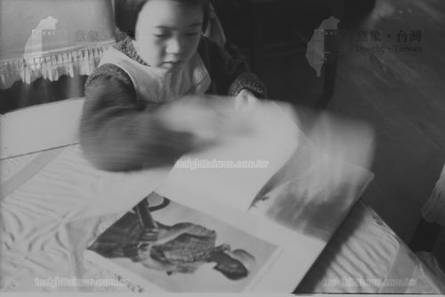 張美美翻畫冊