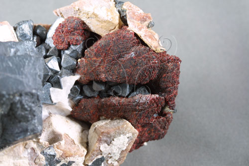 中文名:紅鋅礦(NMNS003121-P006338)英文名:Zincite(NMNS003121-P006338)