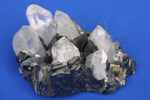 中文名:黑鎢礦(NMNS000906-P003216)英文名:Wolframite(NMNS000906-P003216)