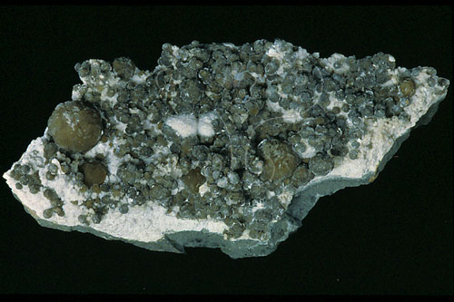 中文名:片水矽鈣石(NMNS000273-P001773)英文名:Gyrolite(NMNS000273-P001773)